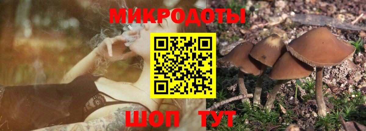 Галлюциногенные грибы мухоморы  Вход с VPN  цены наркотик  Псилоцибиновые грибы Cubensis  Ивантеевка 